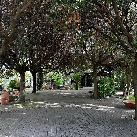 グロッタフェッラータBorgo De' Paolisアパートメント エクステリア 写真